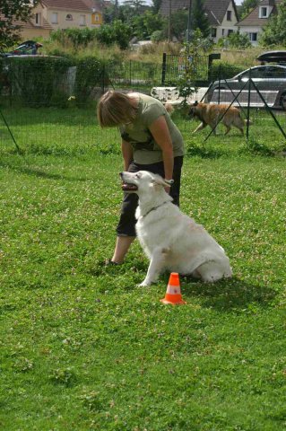 obeissance 2014-08-02